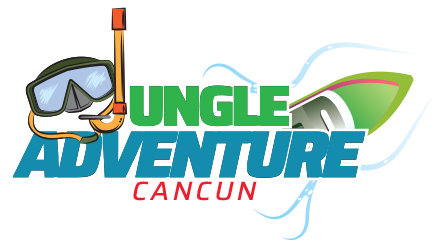 Jungle Kindom Adventure